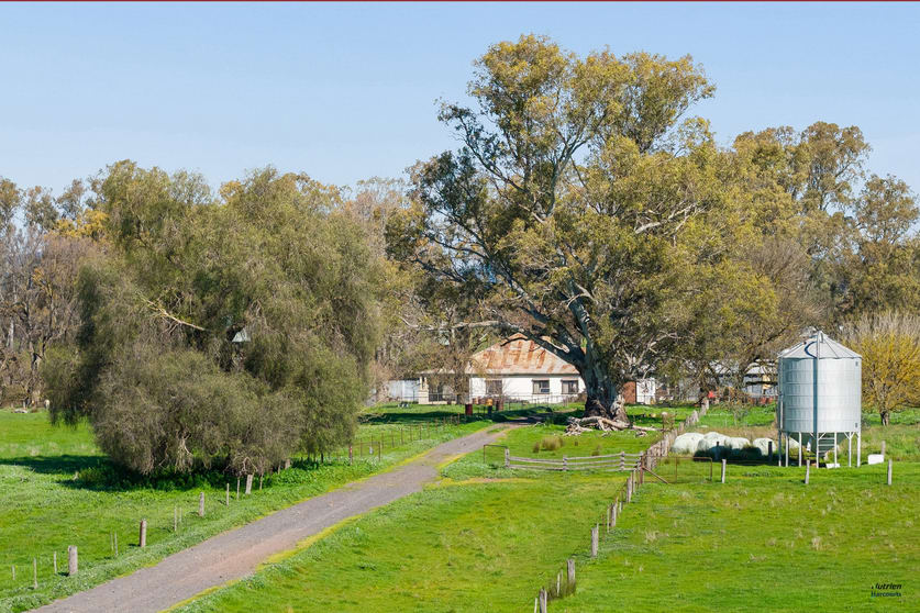 Click to view all images 1028 Kilfeera Road Benalla VIC 3672 - Image 3