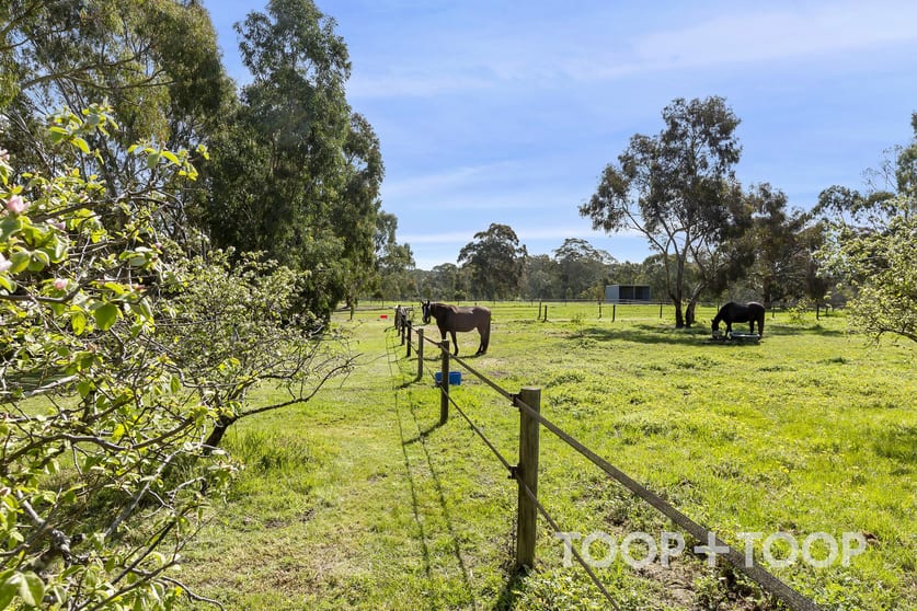 Click to view all images 57 Kondoparinga Road Meadows SA 5201 - Image 3