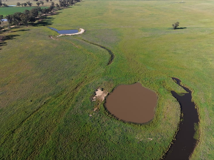 Click to view all images . "STRATHMERTON" West Wyalong NSW 2671 - Image 2