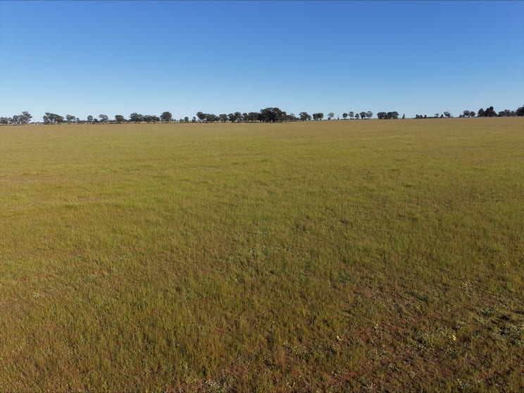 Click to view all images . "STRATHMERTON" West Wyalong NSW 2671 - Image 3