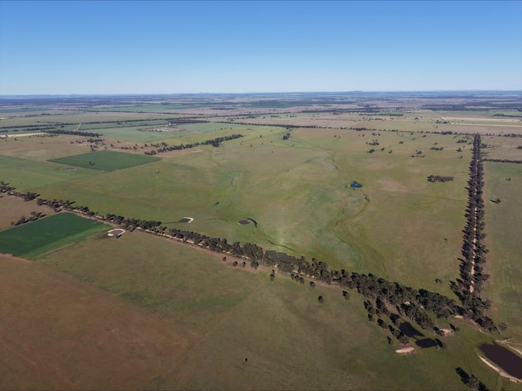 Click to view all images . "STRATHMERTON" West Wyalong NSW 2671 - Image 1