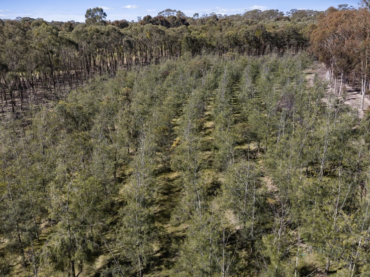 Click to view all images LOT 4 Dookie-Violet Town Road Earlston VIC 3669 - Image 3