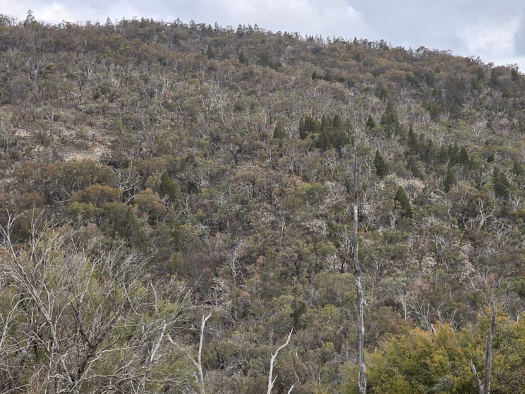 Click to view all images Lot 129 Kiernans Road. Bolivia Tenterfield NSW 2372 - Image 1