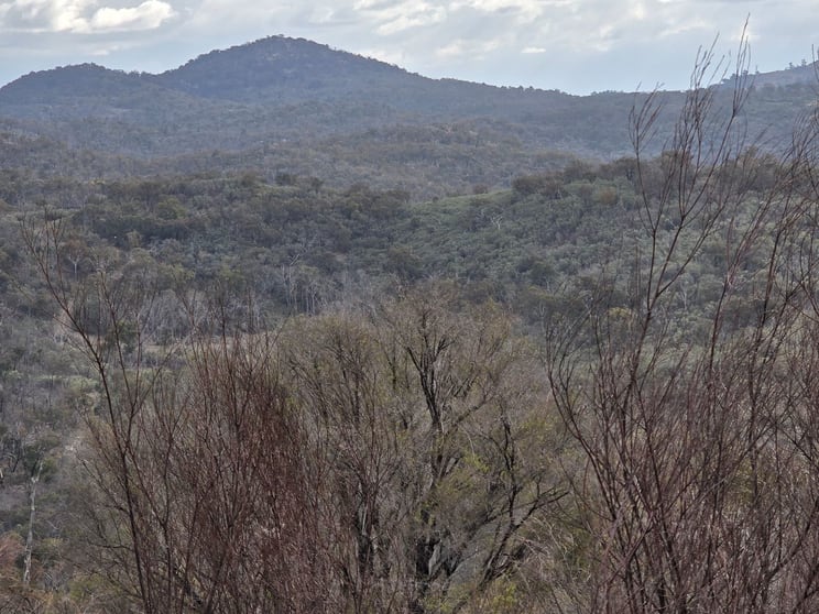 Click to view all images Lot 129 Kiernans Road. Bolivia Tenterfield NSW 2372 - Image 2