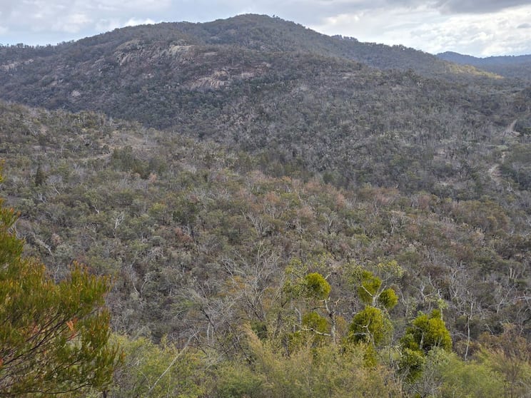 Click to view all images Lot 129 Kiernans Road. Bolivia Tenterfield NSW 2372 - Image 3