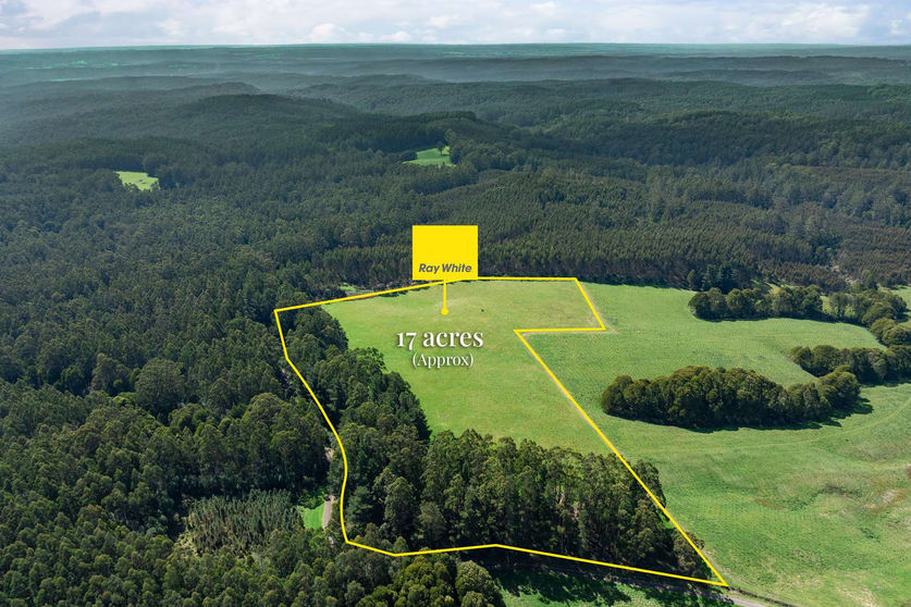 Click to view all images 60 Harveys Track Beech Forest VIC 3237 - Image 1