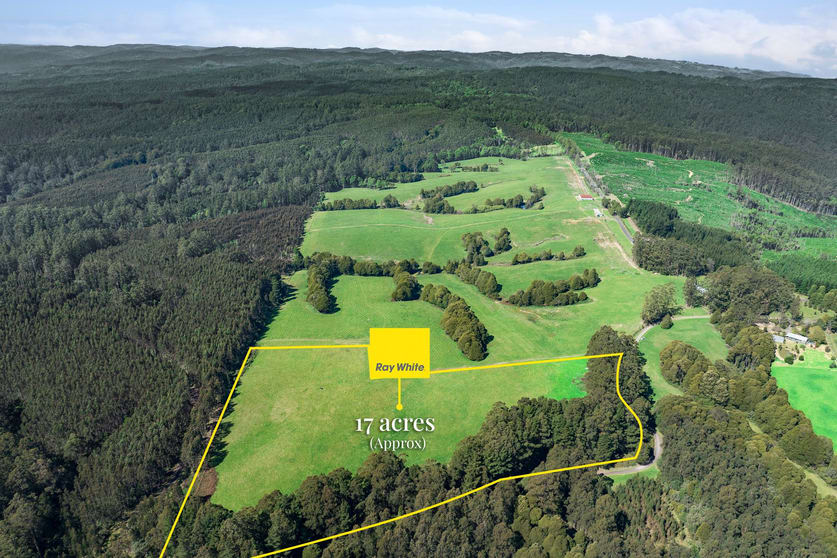 Click to view all images 60 Harveys Track Beech Forest VIC 3237 - Image 2