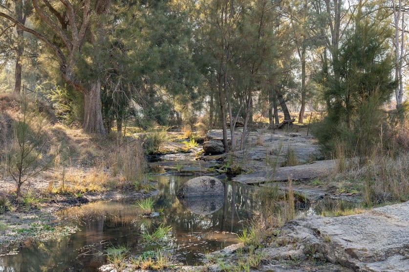 25 Scotts Gully Road Tenterfield NSW 2372 - Image 2