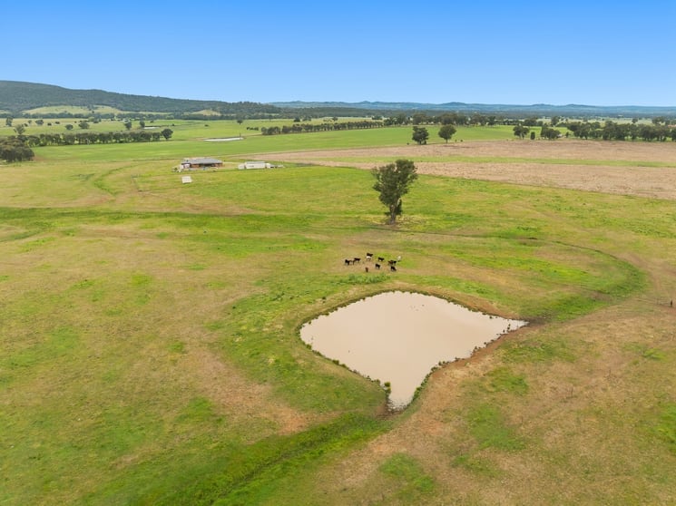 133 Sheep Station Road Cowra NSW 2794 - Image 3
