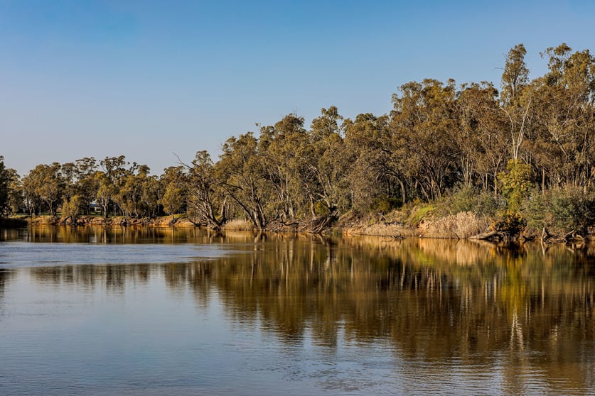 'Murray Gums' 1269 Perricoota Road Moama NSW 2731 - Image 3