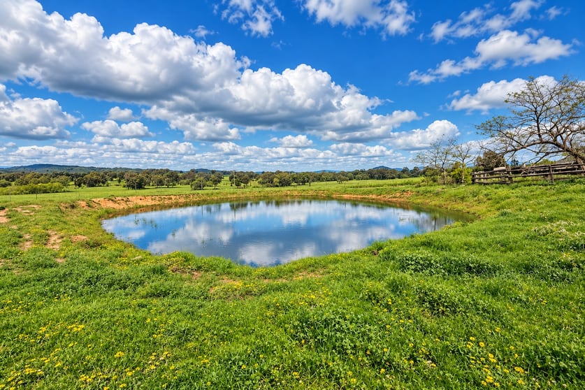62 Table Top Road Thurgoona NSW 2640 - Image 2
