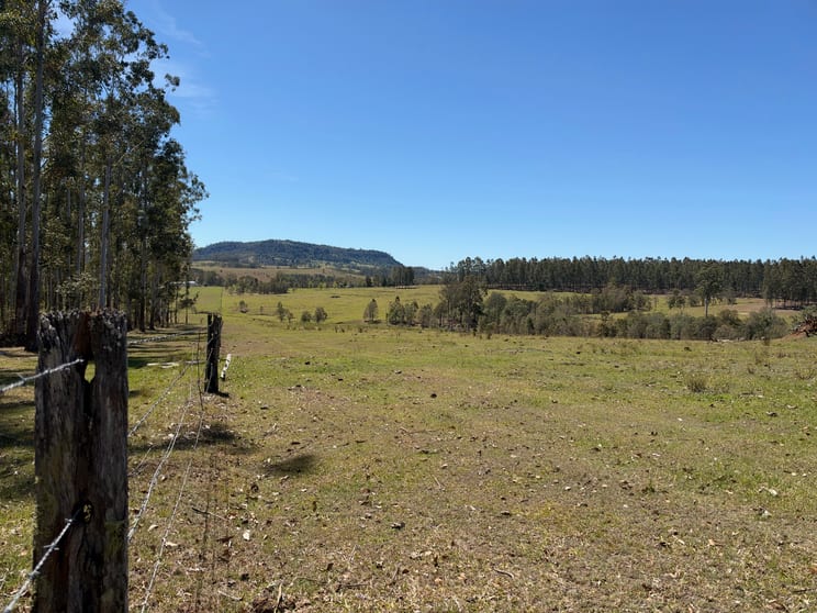 Click to view all images 284 Tabulam Road Lower Bottle Creek NSW 2469 - Image 2
