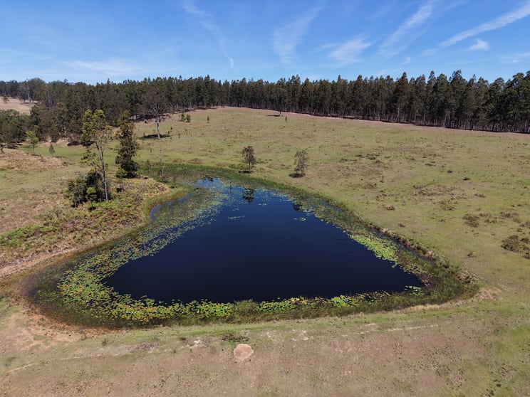 Click to view all images 284 Tabulam Road Lower Bottle Creek NSW 2469 - Image 3
