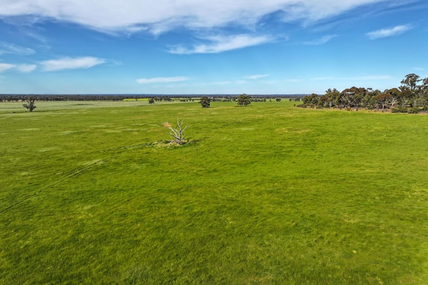 9999 Plain Road Cornella VIC 3551 - Image 3