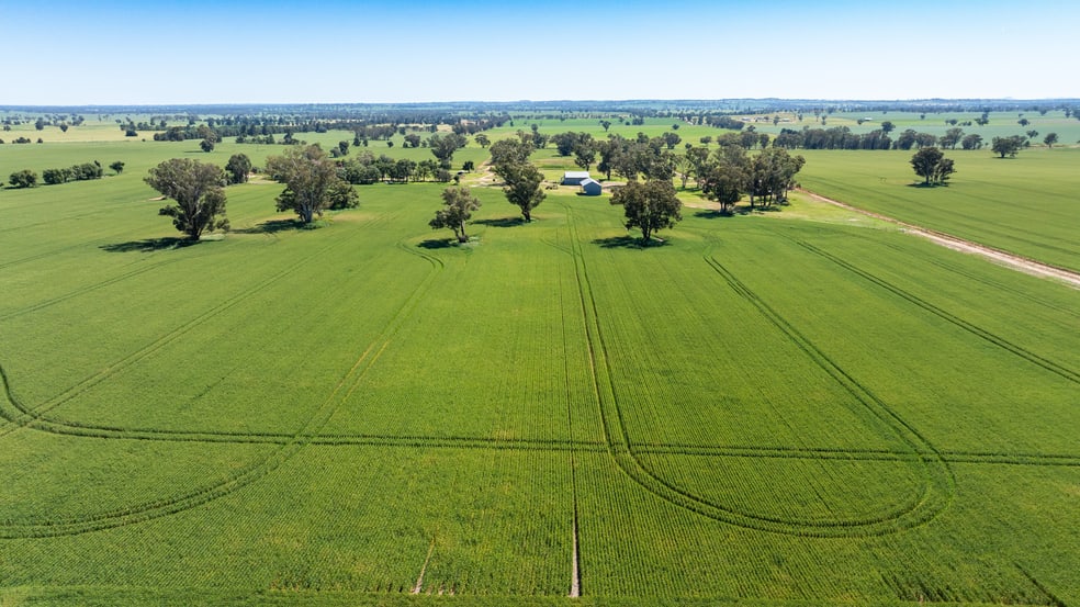 510 Munyaplah Settlement Road Alma Park NSW 2659 - Image 2