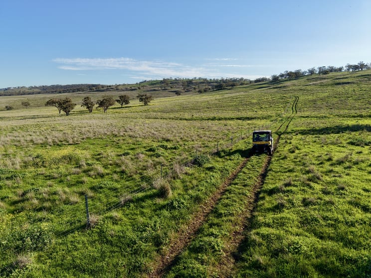 "Rangeview" 2541 Vinegaroy Road Cassilis NSW 2329 - Image 3