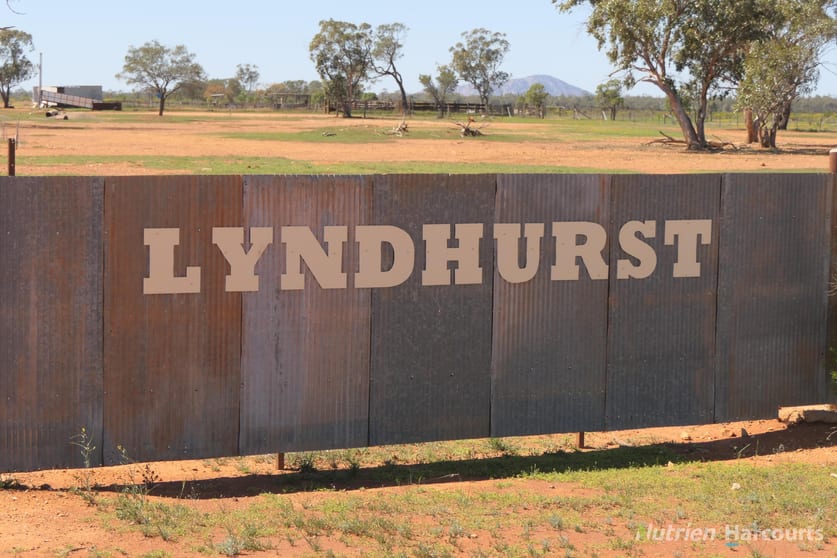 2488 Wilga Downs Road Cobar NSW 2835 - Image 2