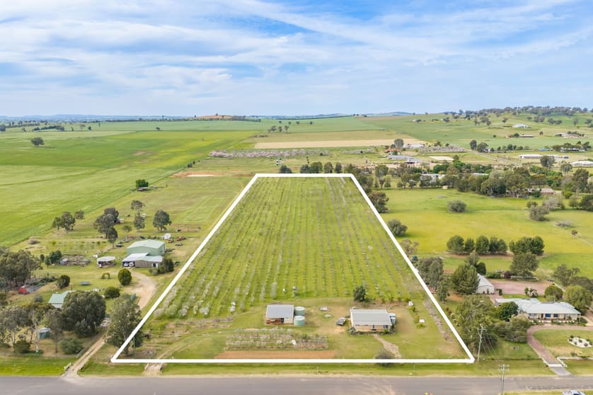 58 Longs Corner Road Canowindra NSW 2804 - Image 1