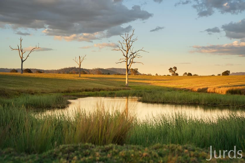 617 Dalwood Road Dalwood NSW 2335 - Image 2