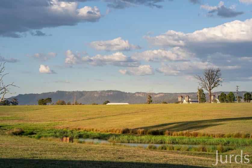 617 Dalwood Road Dalwood NSW 2335 - Image 3