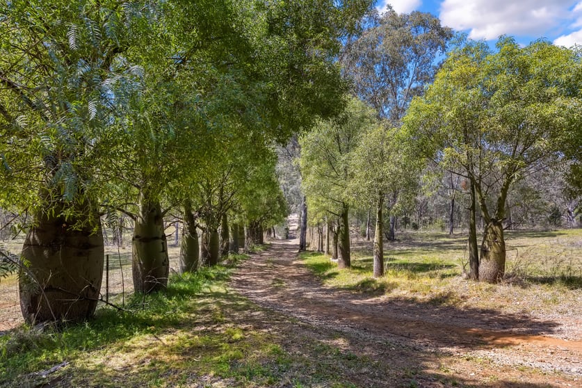 601 Daruka Road Tamworth NSW 2340 - Image 2