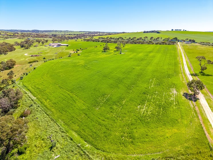 37 Peel Road Currency Creek SA 5214 - Image 3