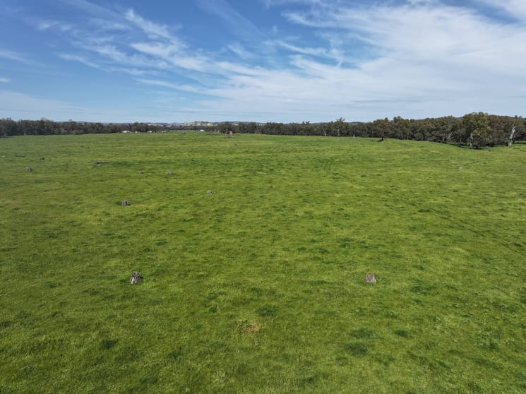 'AYTON VALE' 23 Scott Street Wagga Wagga NSW 2650 - Image 2