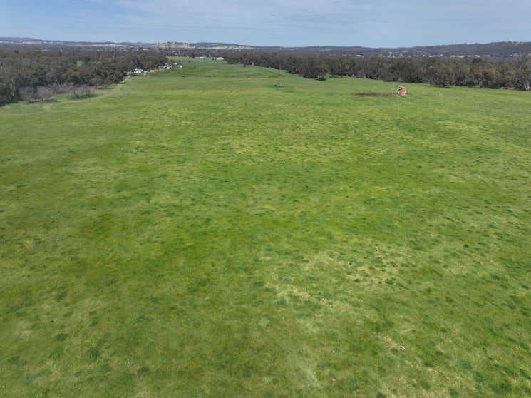 'AYTON VALE' 23 Scott Street Wagga Wagga NSW 2650 - Image 3