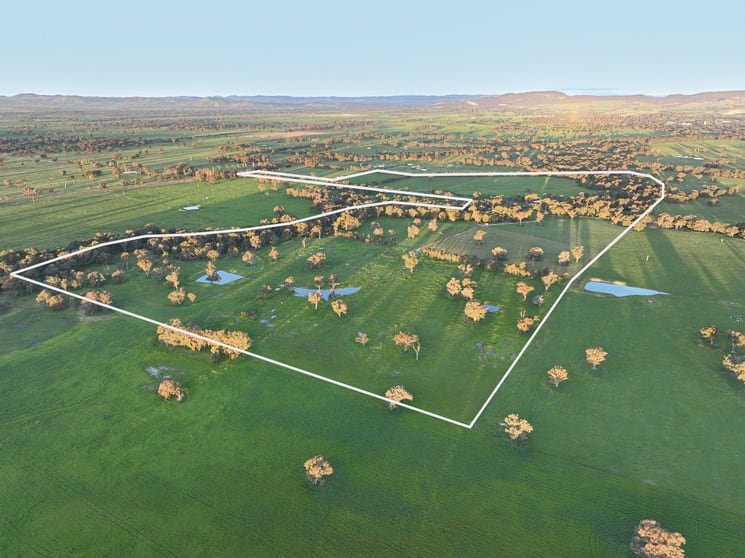 Click to view all images 547 Culcairn Holbrook Road Holbrook NSW 2644 - Image 1