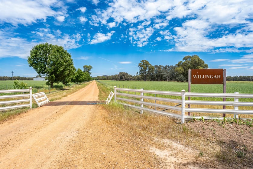 Click to view all images 547 Culcairn Holbrook Road Holbrook NSW 2644 - Image 3