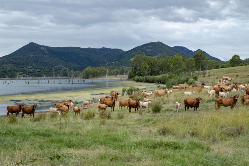 Click to view all images Lot 52 Lake Moogerah Road Moogerah QLD 4309 - Image 3