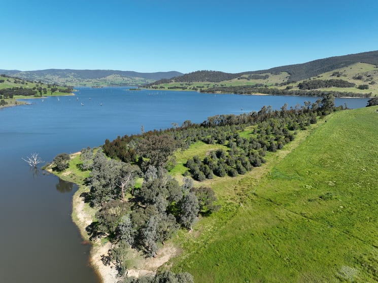 Click to view all images 2312 Wymah Road Wymah NSW 2640 - Image 2