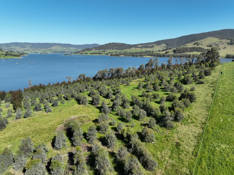 Click to view all images 2312 Wymah Road Wymah NSW 2640 - Image 3