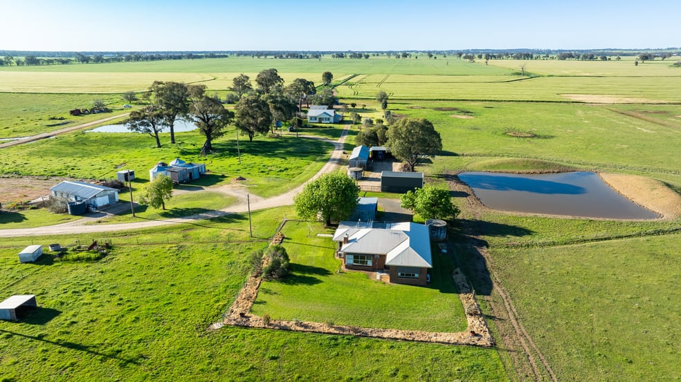 Click to view all images 65 Lee Valley Road Collendina NSW 2646 - Image 3