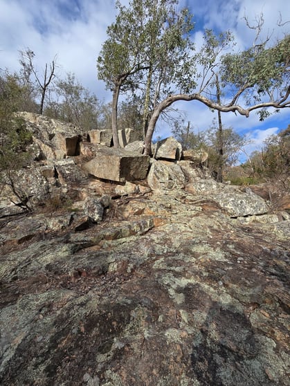 Click to view all images Lot 166 Kiernans Road Bolivia Tenterfield NSW 2372 - Image 2