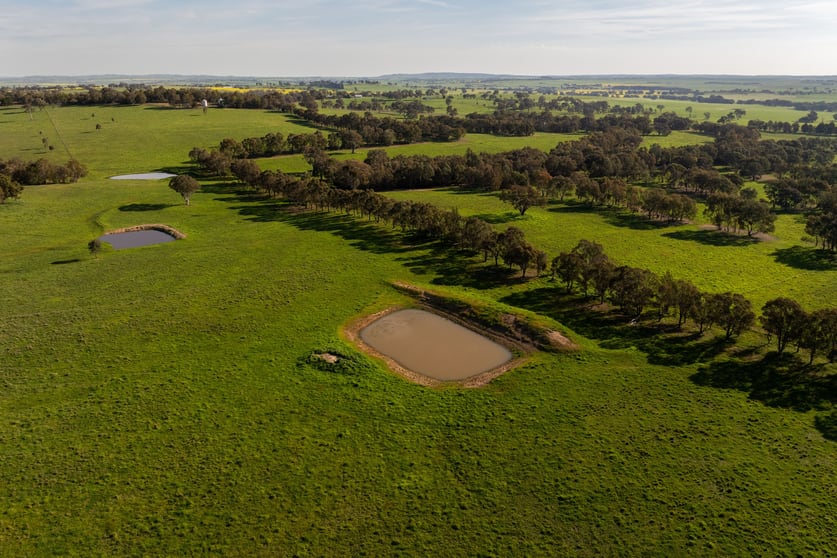 Click to view all images 713 Lachlan Valley Way Boorowa NSW 2586 - Image 2