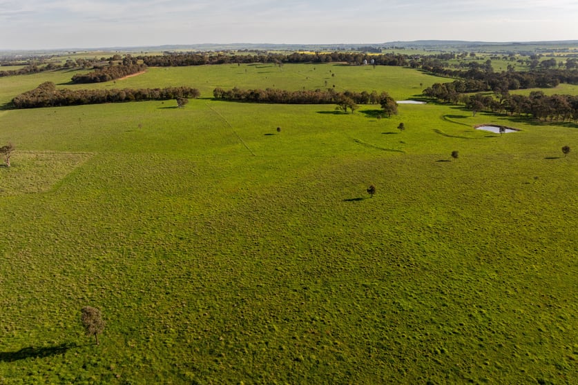 Click to view all images 713 Lachlan Valley Way Boorowa NSW 2586 - Image 3