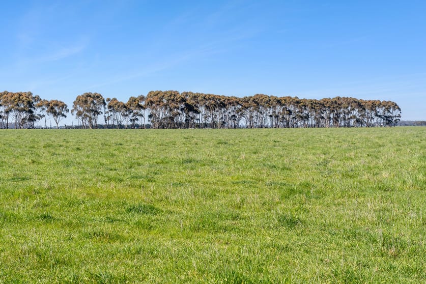 Click to view all images 416 Mortlake-Ararat Road Mortlake VIC 3272 - Image 3