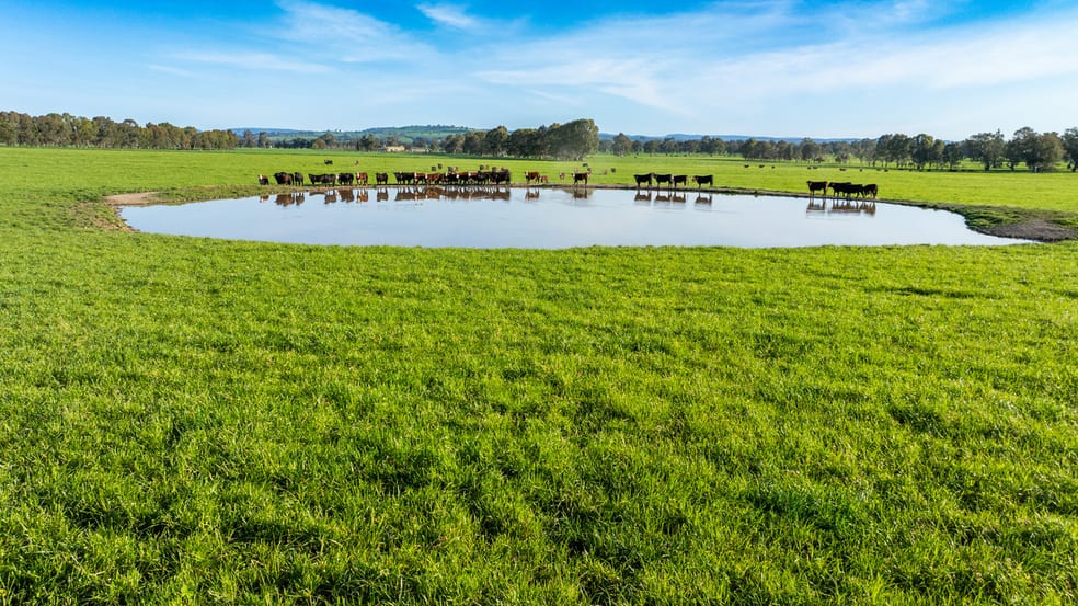 Click to view all images 1/ Simpsons Lane Moyhu VIC 3732 - Image 2