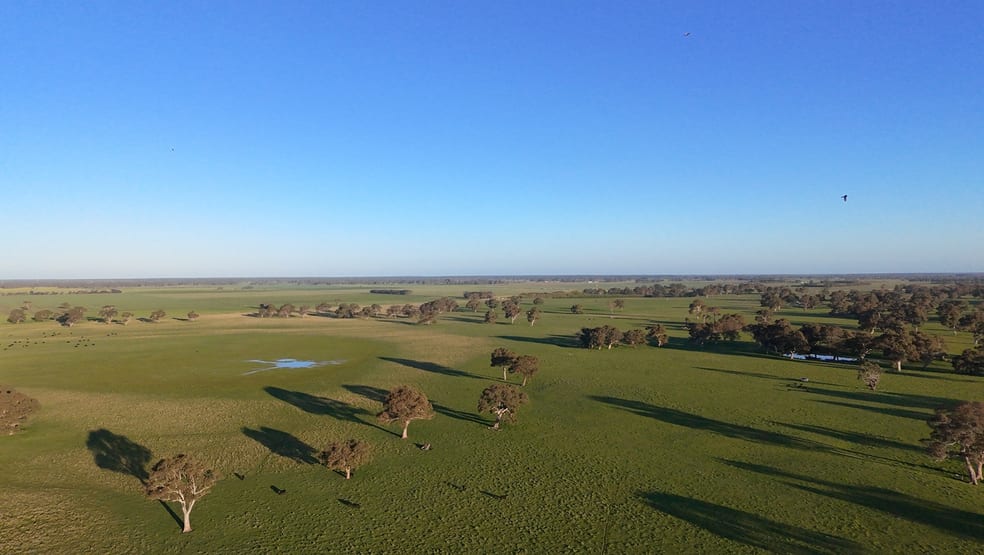 Click to view all images Lots 50 & 51 Old Kalangadoo Road Penola SA 5277 - Image 3