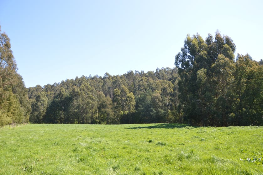 275 Anderson Inlet Road Moyarra VIC 3951 - Image 2