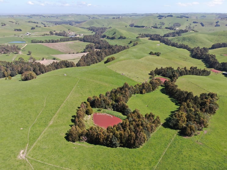 275 Anderson Inlet Road Moyarra VIC 3951 - Image 3