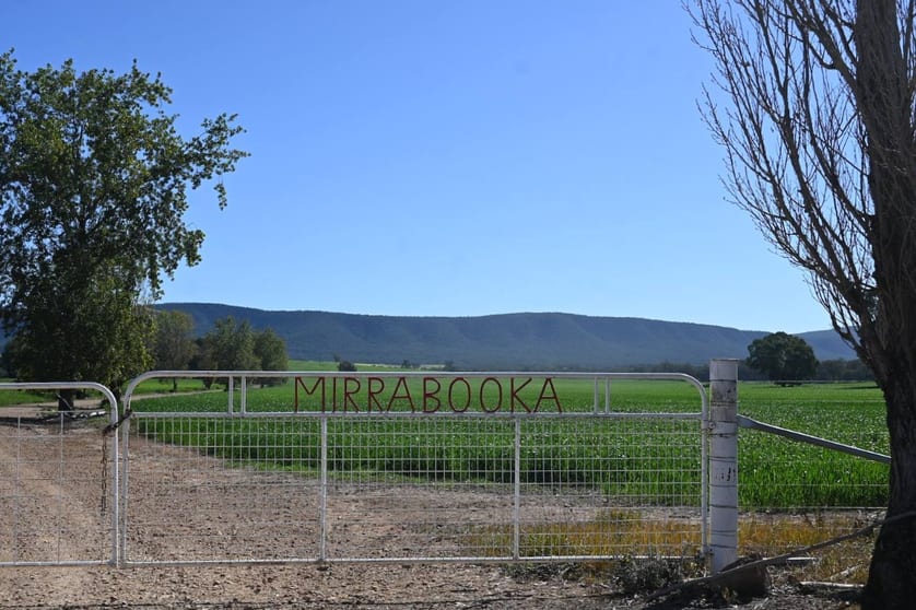 Click to view all images "Mirrabooka" 797 Eualdrie Road Grenfell NSW 2810 - Image 2