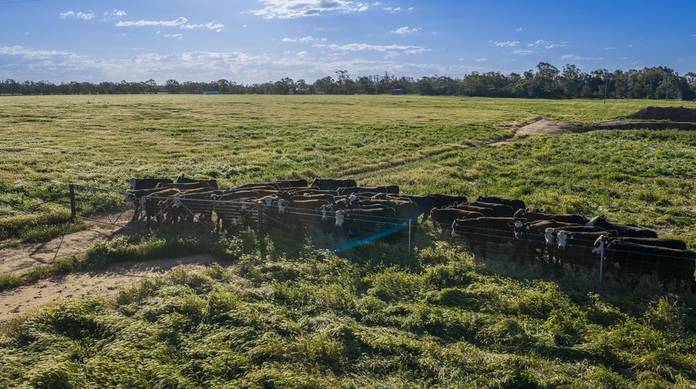 Click to view all images 221R Narromine Road Dubbo NSW 2830 - Image 2
