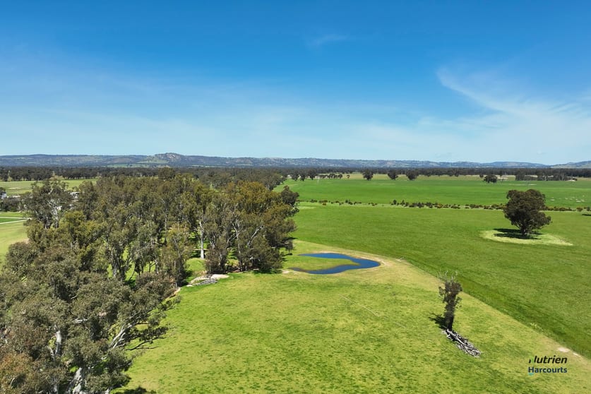 Click to view all images 643 Carmodys Road Longwood VIC 3665 - Image 2