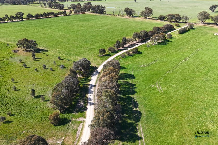 Click to view all images 643 Carmodys Road Longwood VIC 3665 - Image 3