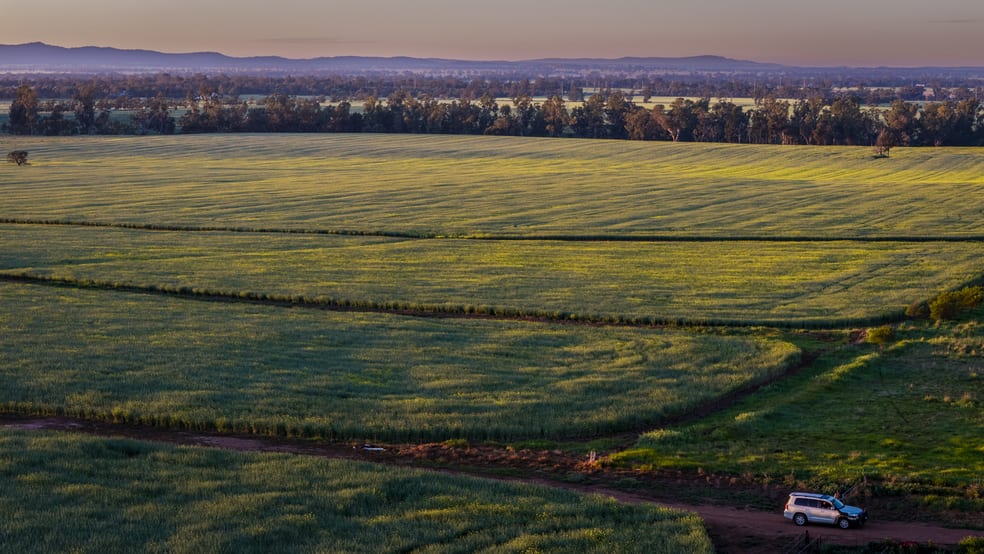 298 Eumungerie Road Narromine NSW 2821 - Image 1