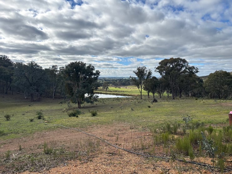 Click to view all images 82 Blakney Creek North Road Bevendale NSW 2581 - Image 3