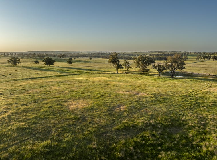 Click to view all images 485 One Tree Hill Lane Maryvale NSW 2820 - Image 3