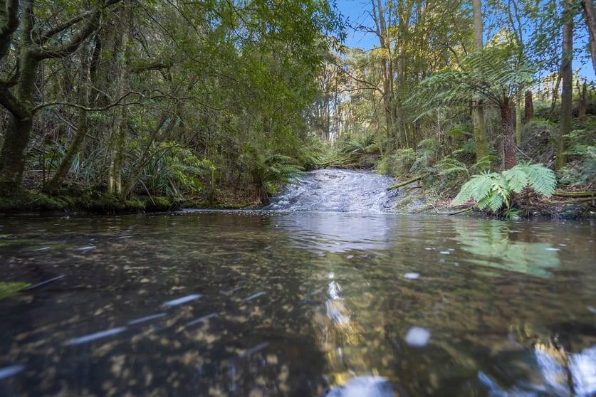 Click to view all images 260 Amiets Road Wyelangta VIC 3237 - Image 2